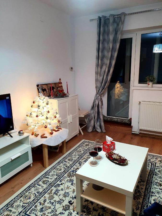 Lidia'S Apartment Σινάια Εξωτερικό φωτογραφία