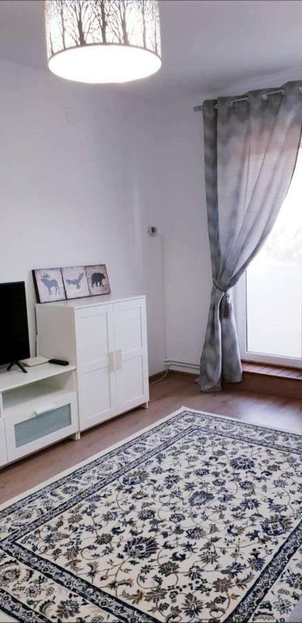 Lidia'S Apartment Σινάια Εξωτερικό φωτογραφία