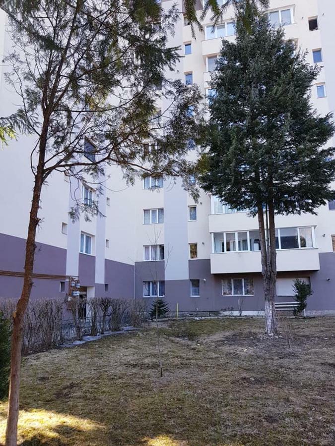 Lidia'S Apartment Σινάια Εξωτερικό φωτογραφία