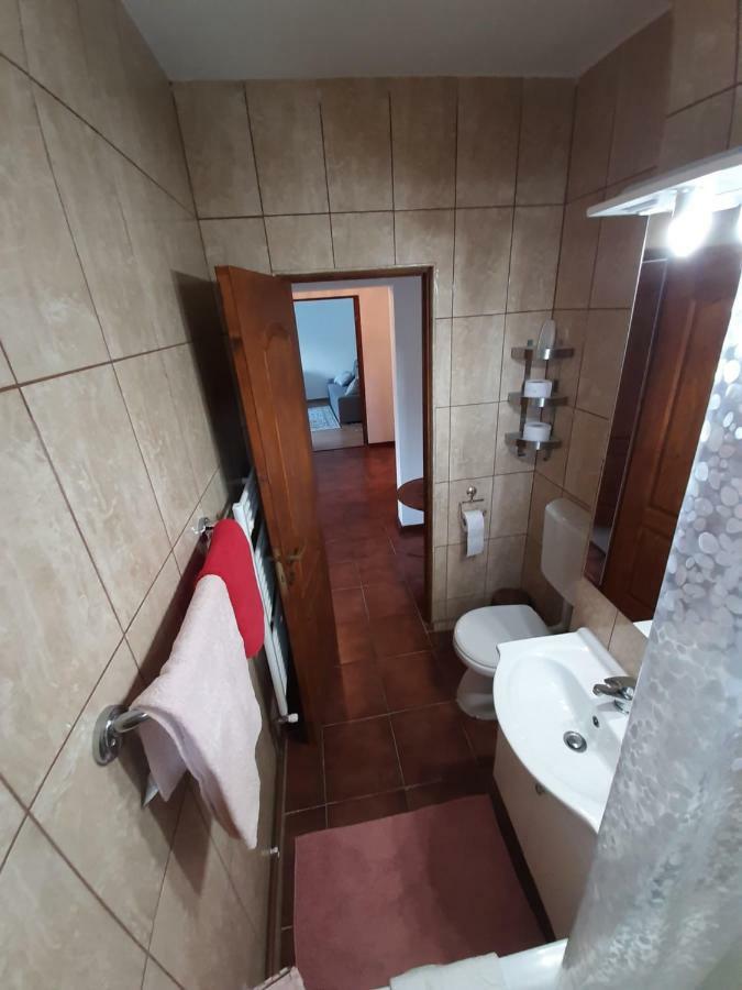 Lidia'S Apartment Σινάια Εξωτερικό φωτογραφία