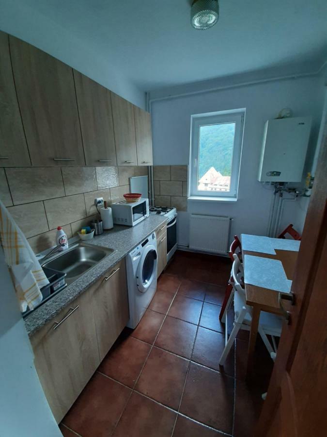 Lidia'S Apartment Σινάια Εξωτερικό φωτογραφία