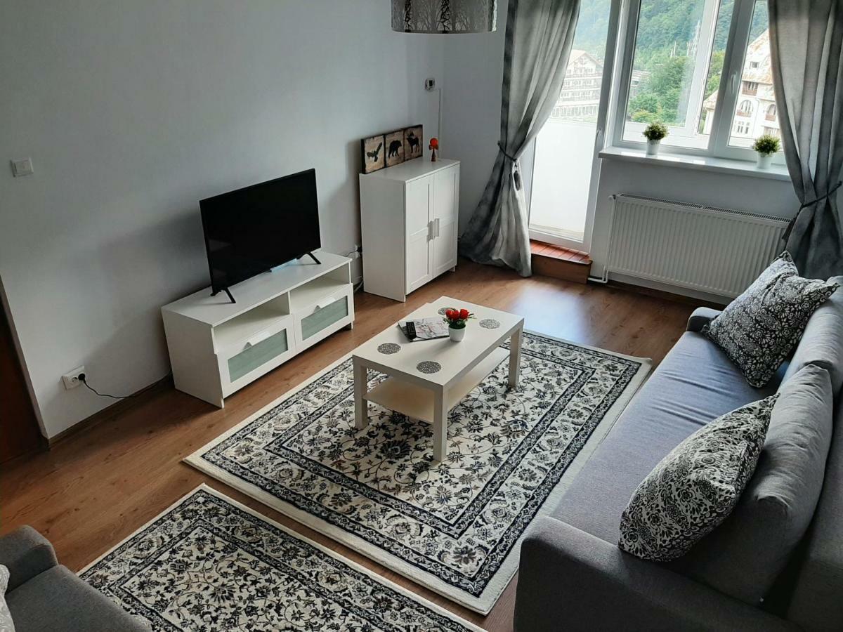 Lidia'S Apartment Σινάια Εξωτερικό φωτογραφία