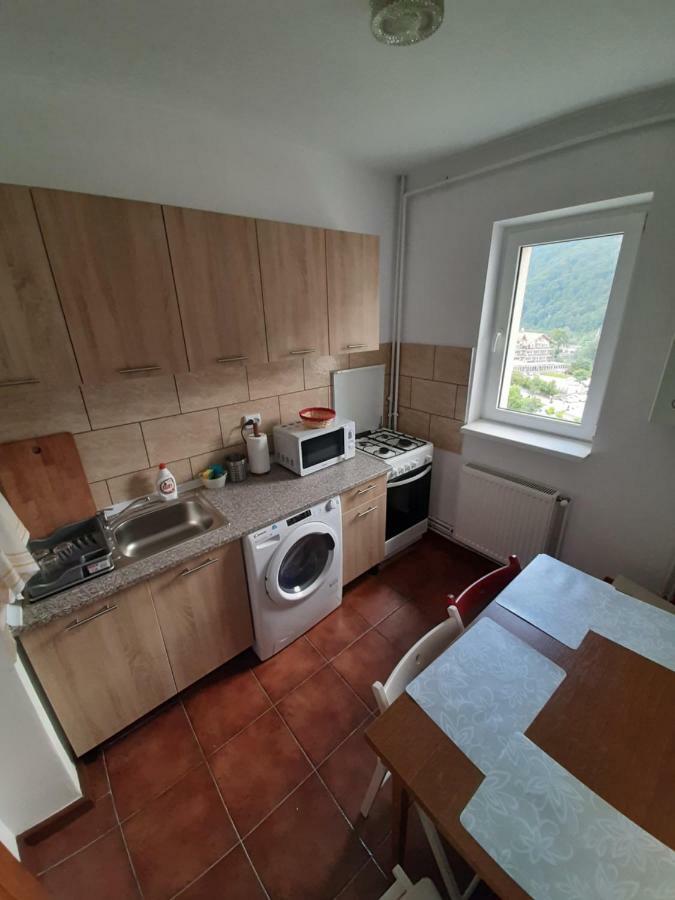 Lidia'S Apartment Σινάια Εξωτερικό φωτογραφία